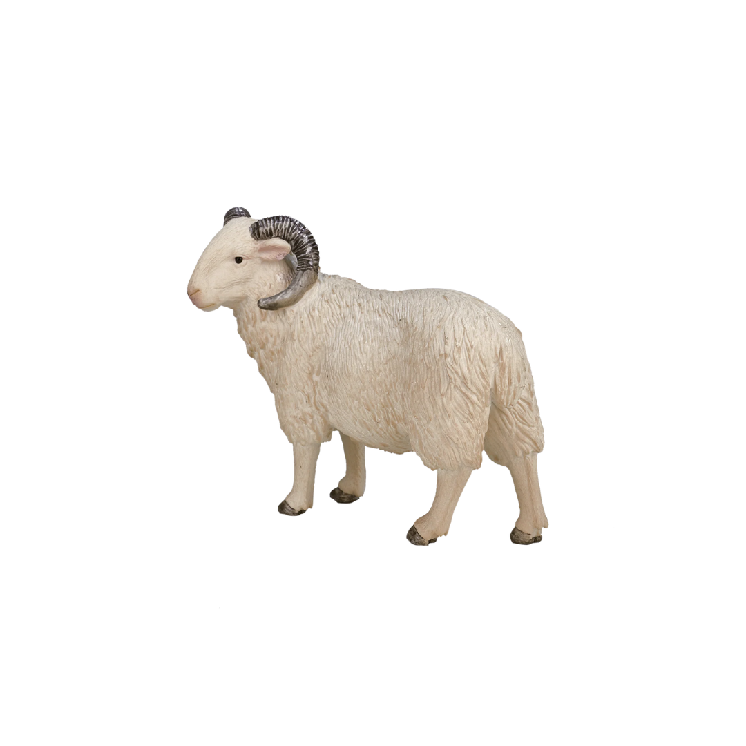 Mojo Sheep Ram -M