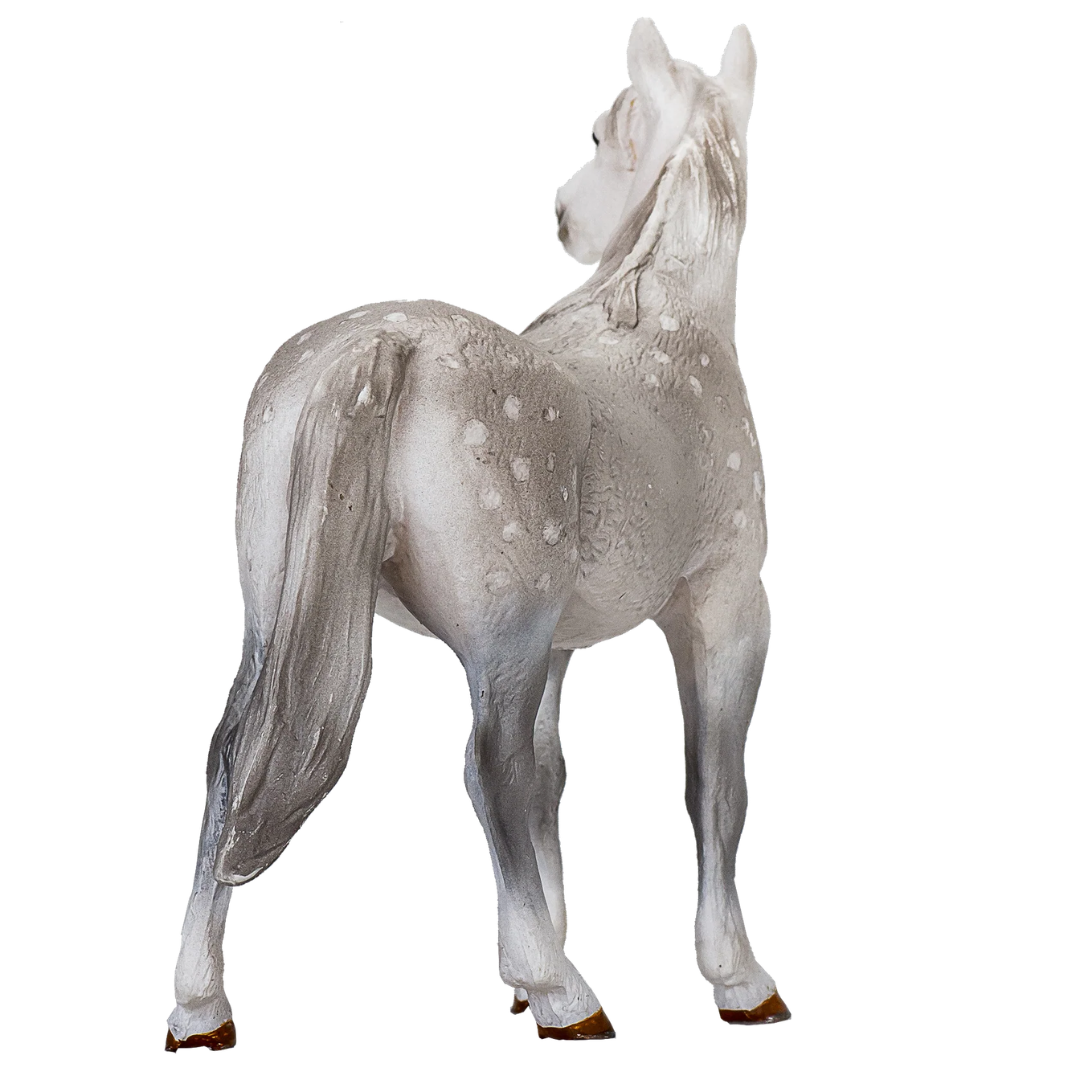 Mojo Orlov Trotter - XL