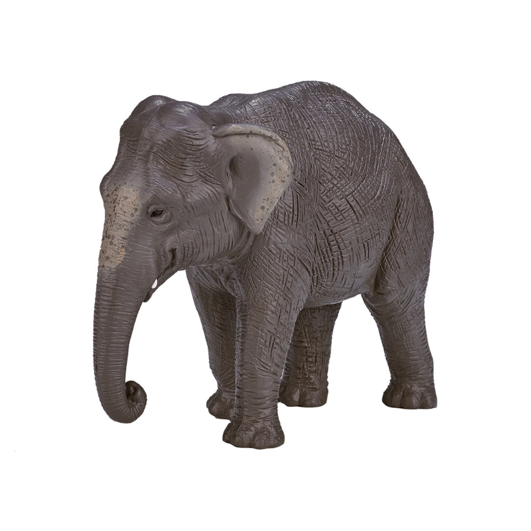 Mojo Asian Elephant - XL