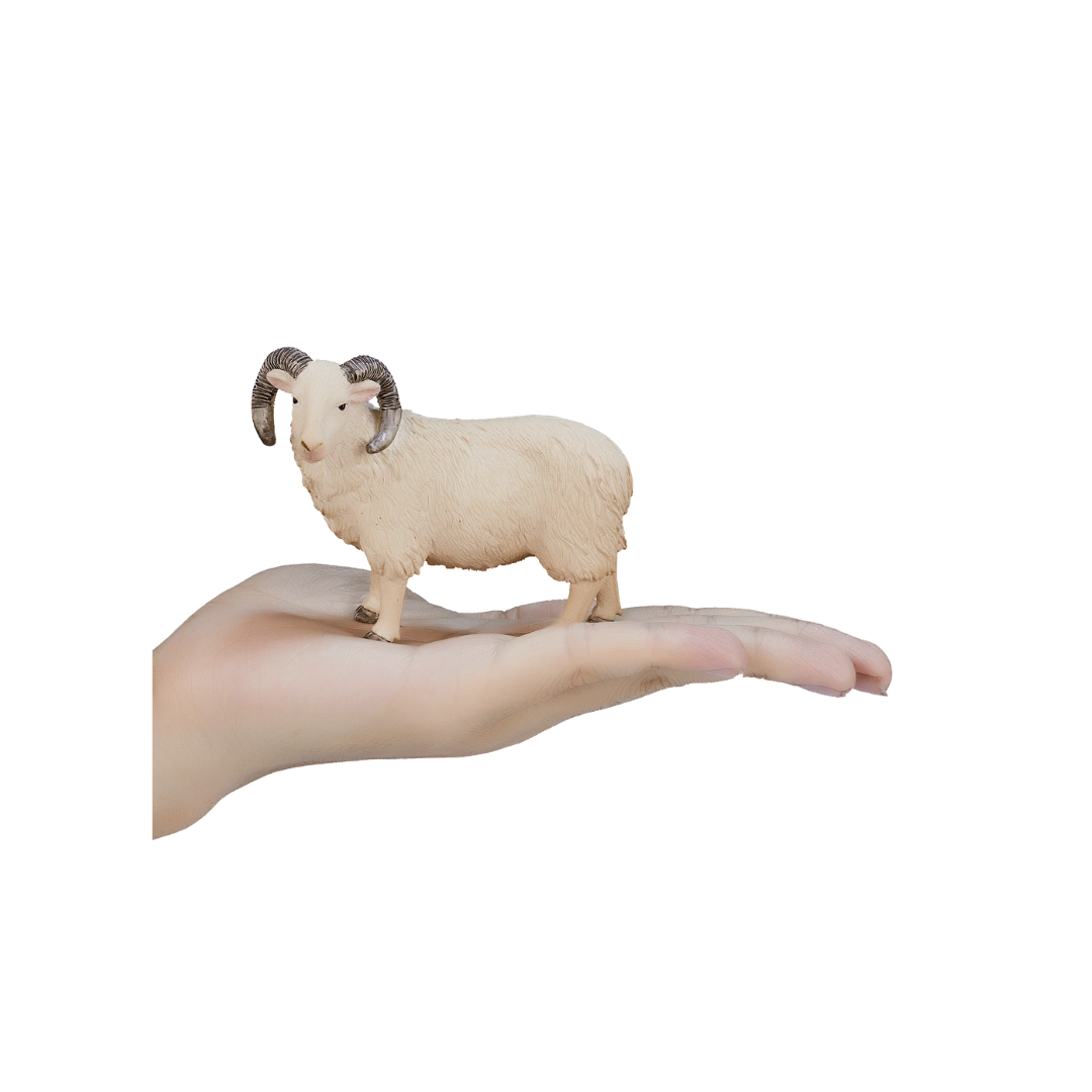 Mojo Sheep Ram -M