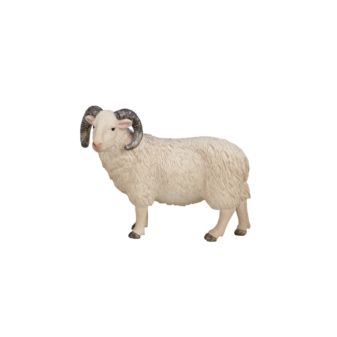 Mojo Sheep Ram -M