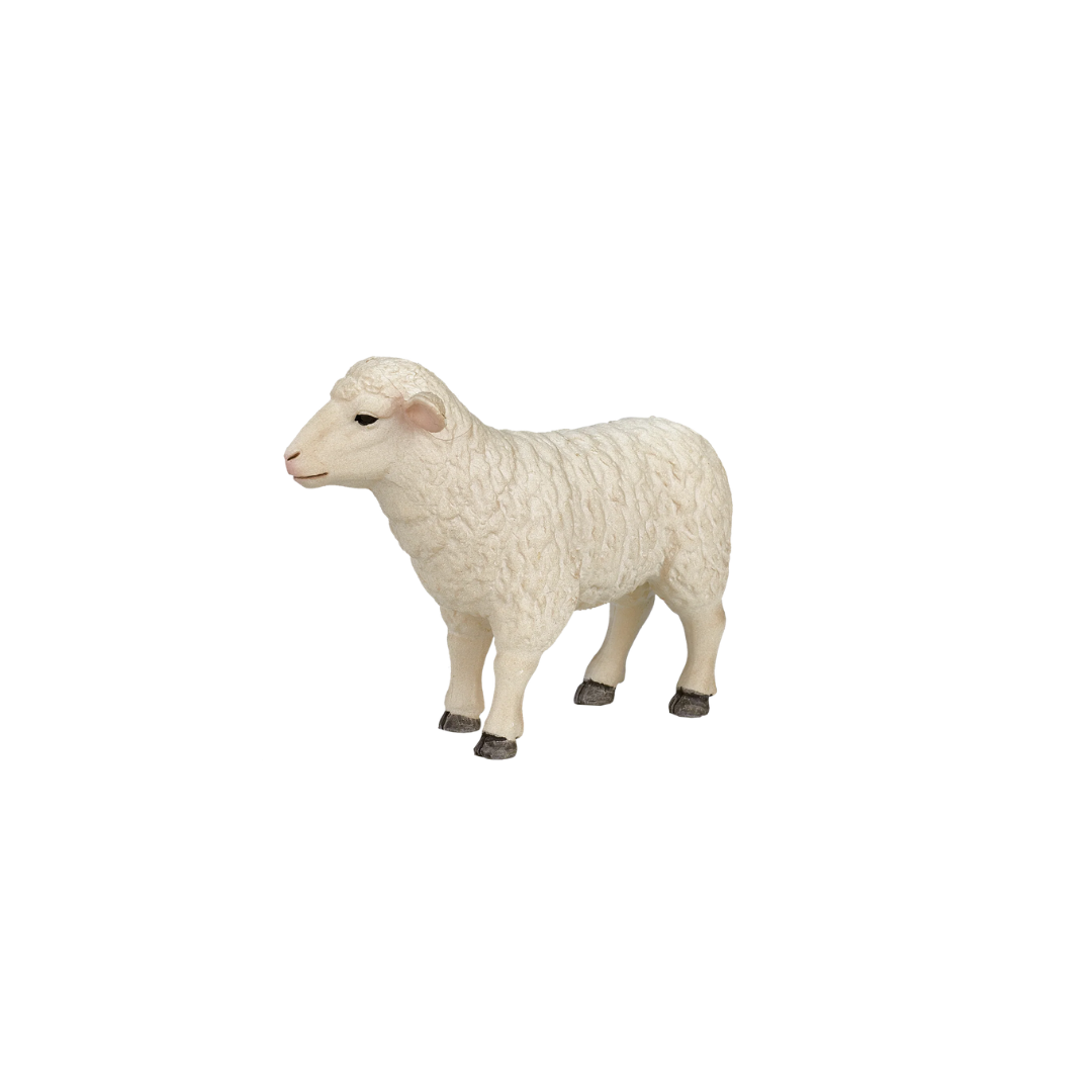 Mojo Sheep (Ewe) -M
