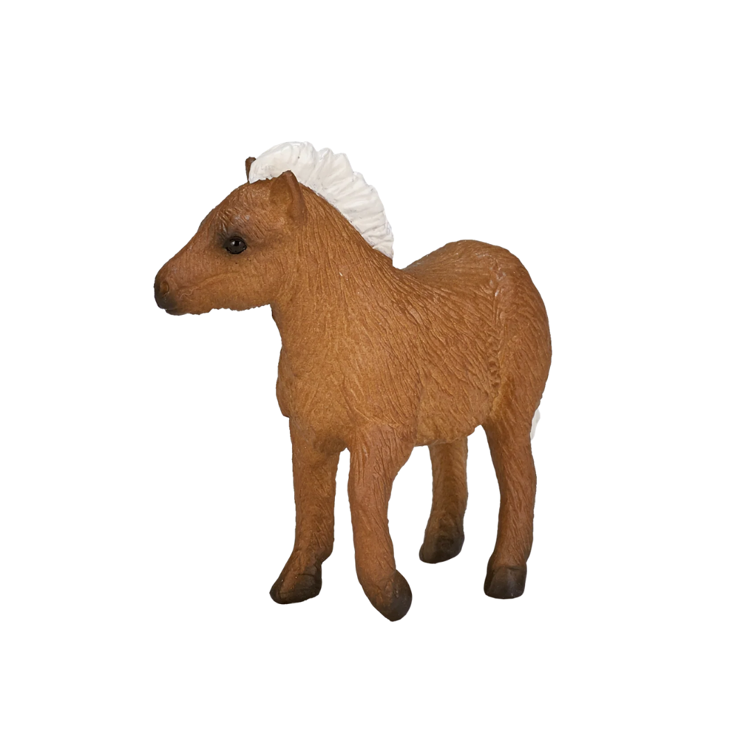 Mojo Shetland Pony Foal-S