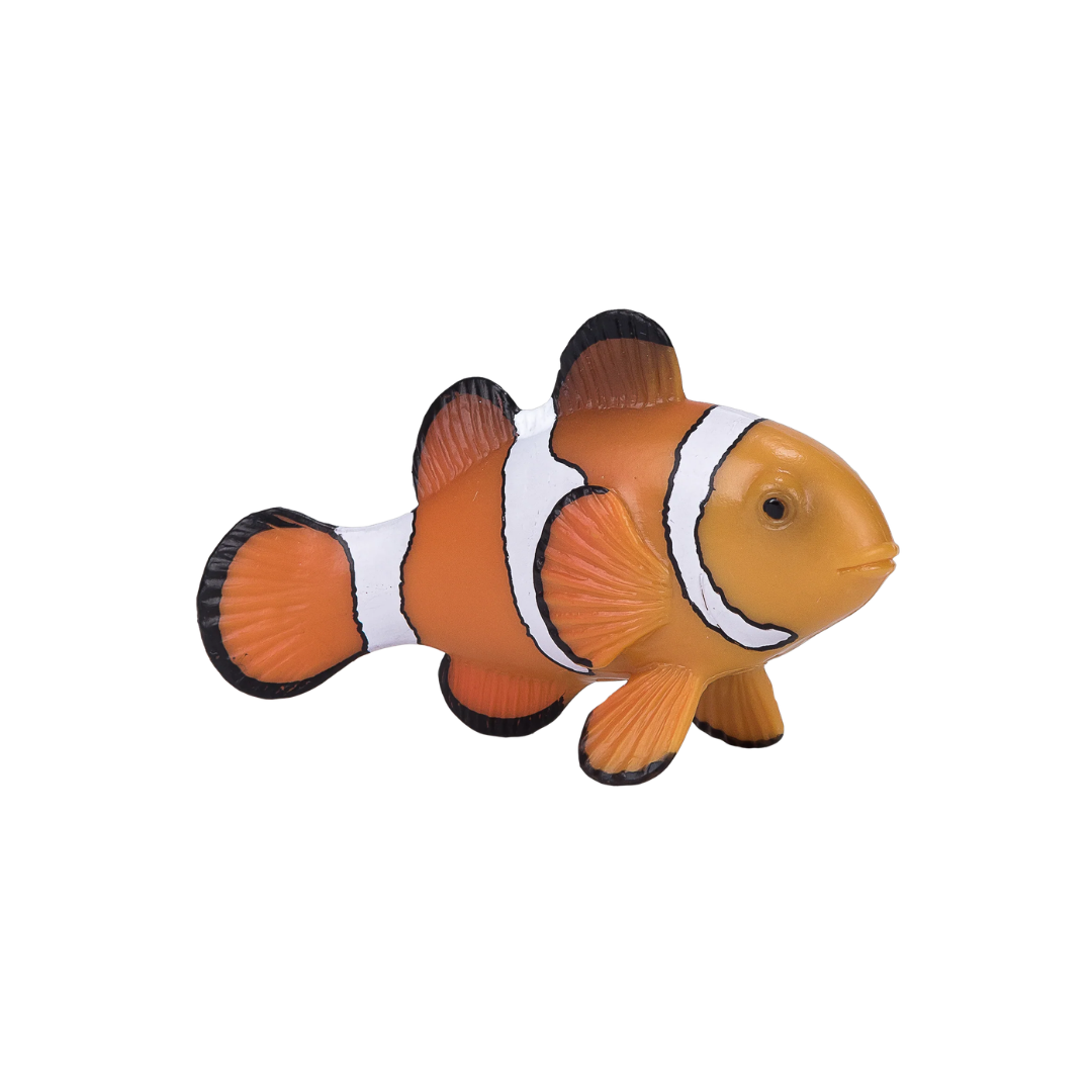 Mojo Clown Fish  - M