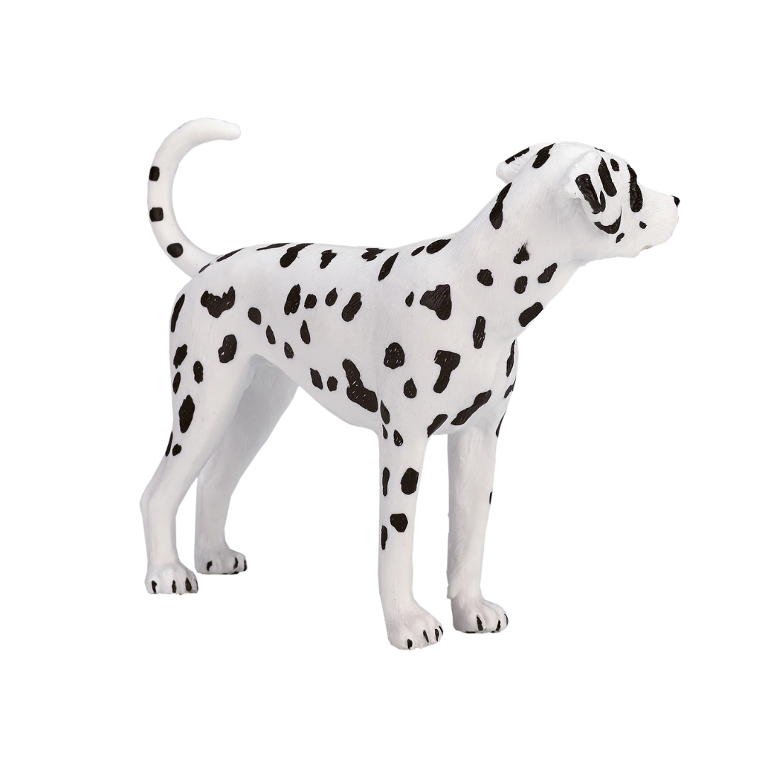 Mojo Dalmatian  - M