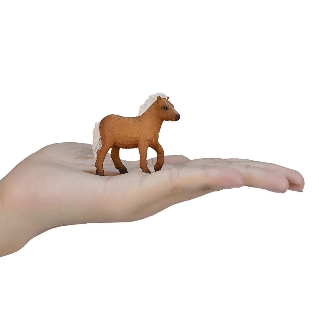 Mojo Shetland Pony Foal-S