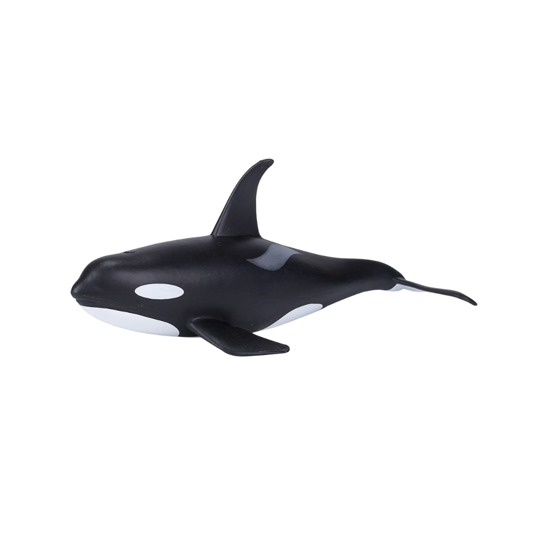 Male Orca-XXL