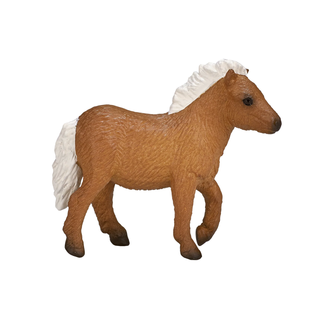 Mojo Shetland Pony Foal-S