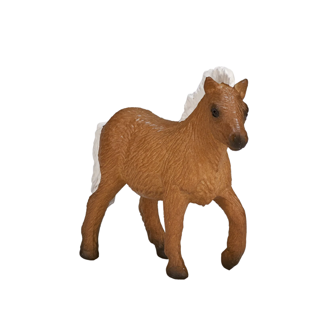 Mojo Shetland Pony Foal-S