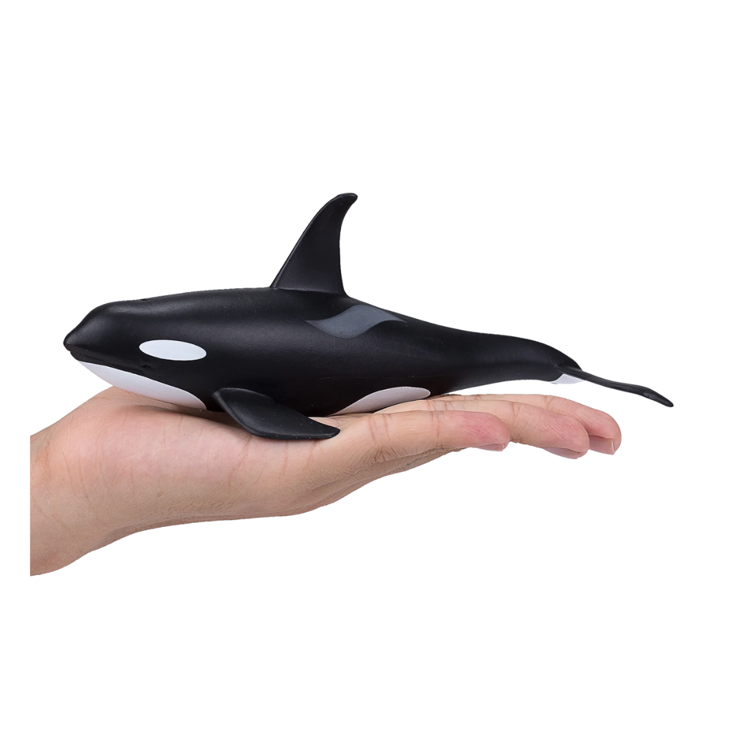 Male Orca-XXL