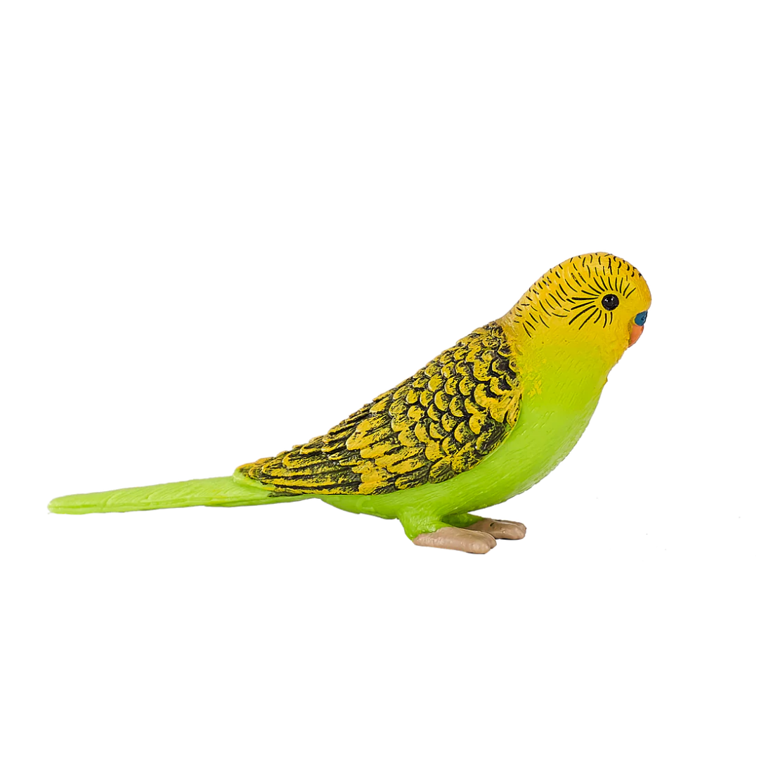 Mojo Budgerigar Green -S