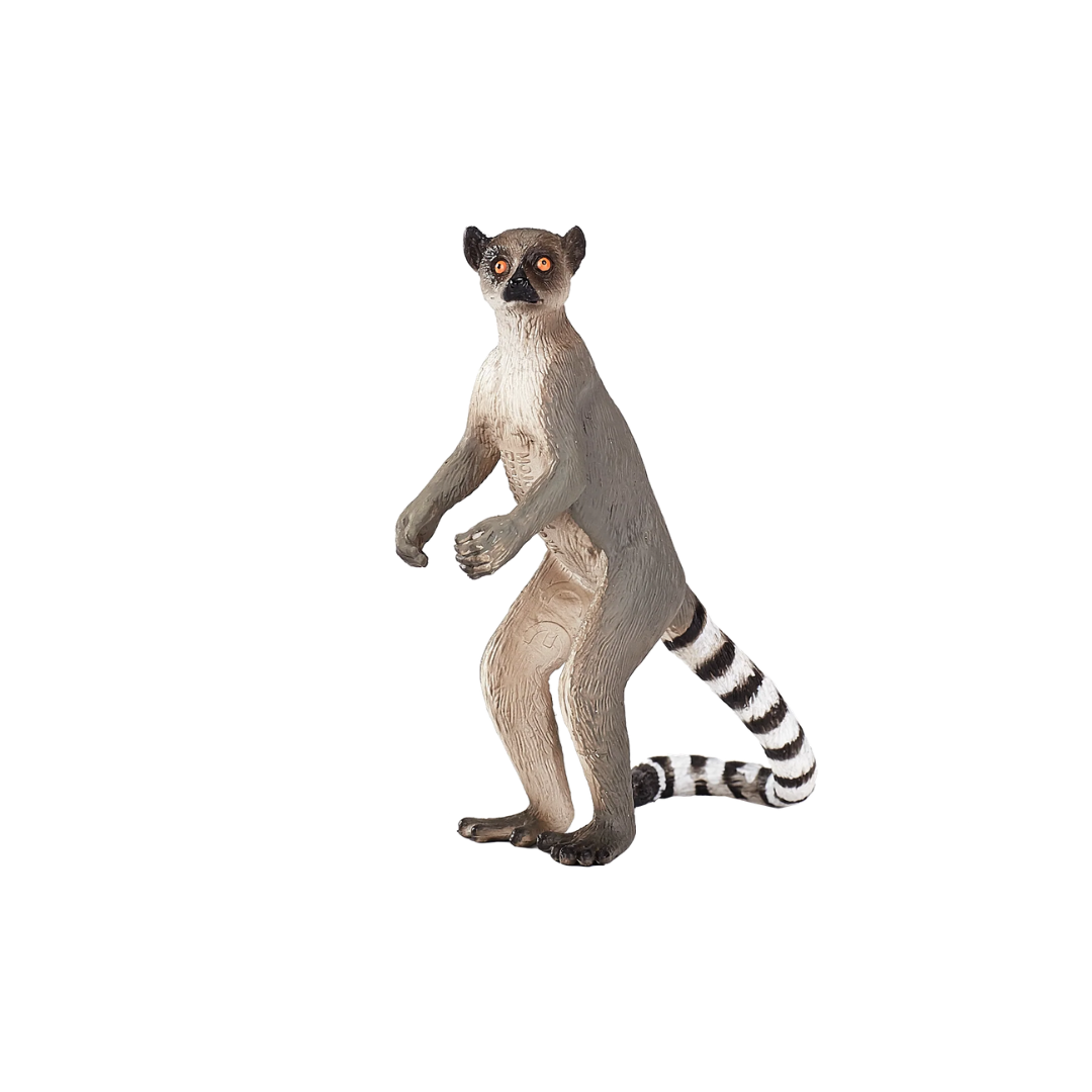 Mojo Ringtail Lemur - M