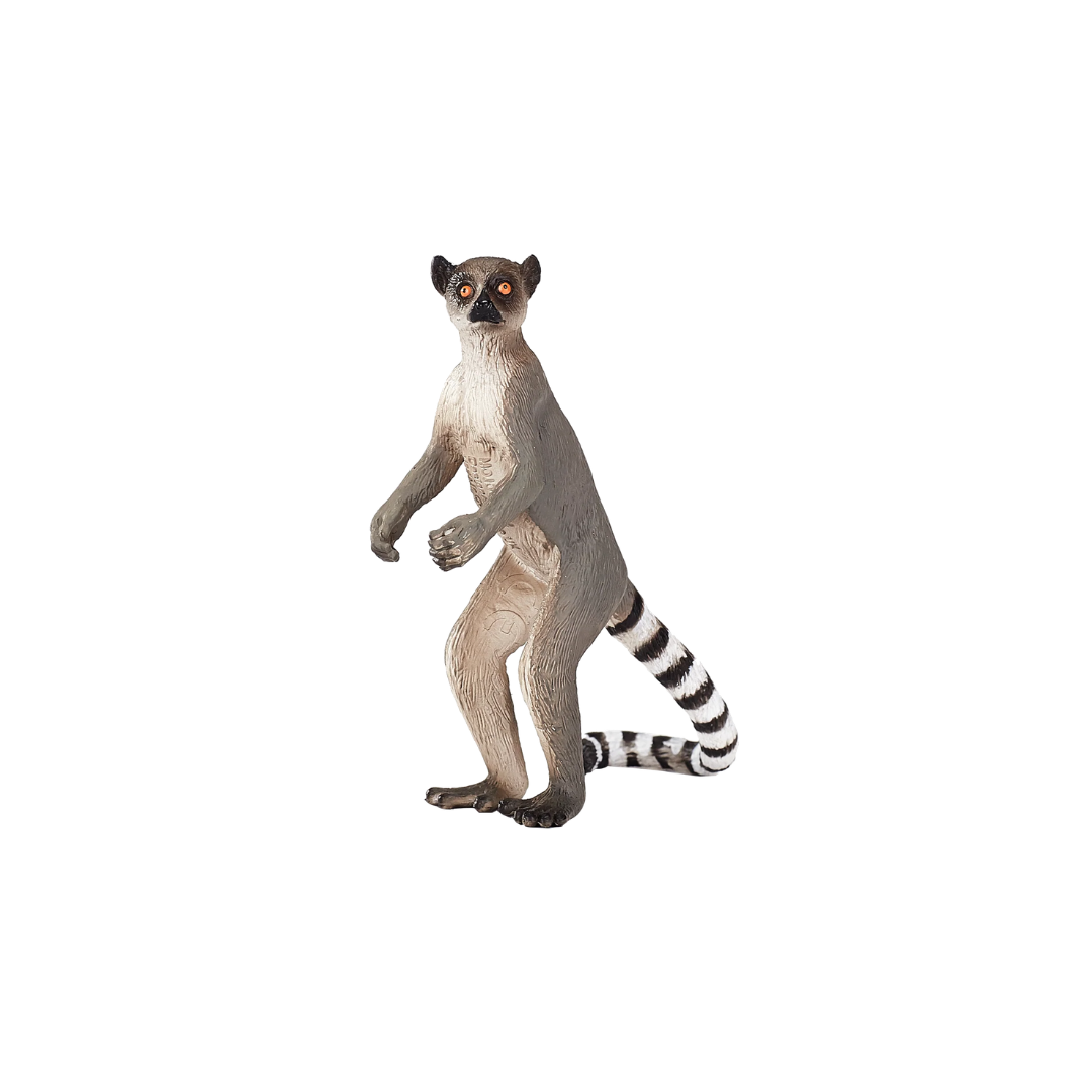 Mojo Ringtail Lemur - M