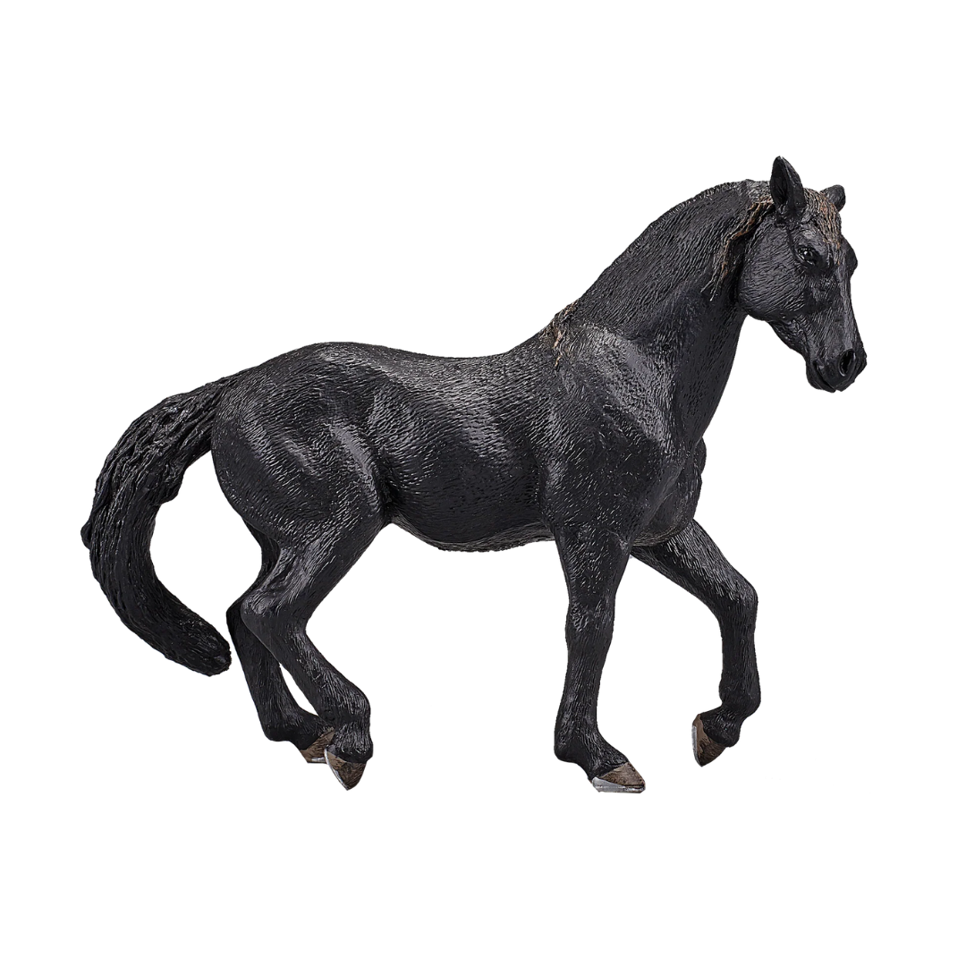 Mojo Andalusian Stallion Black - XL