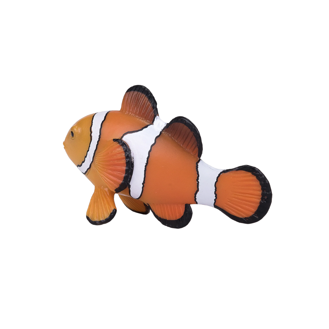 Mojo Clown Fish  - M