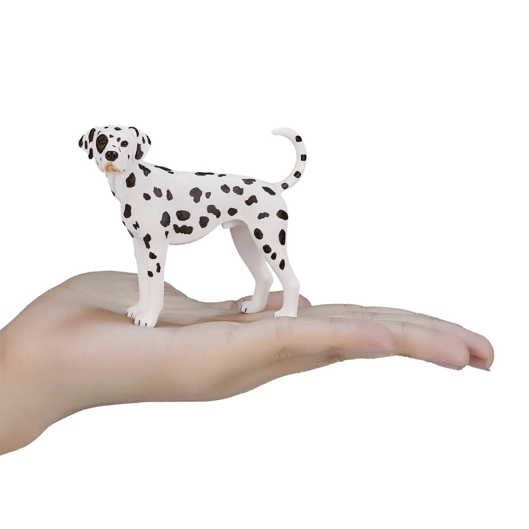 Mojo Dalmatian  - M