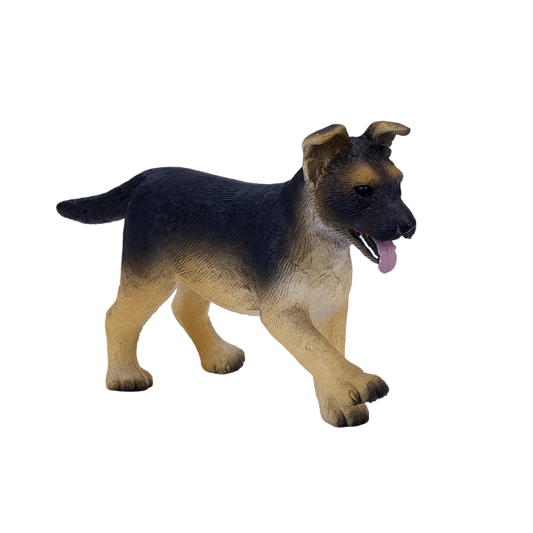 Mojo German Shepherd Puppy -S