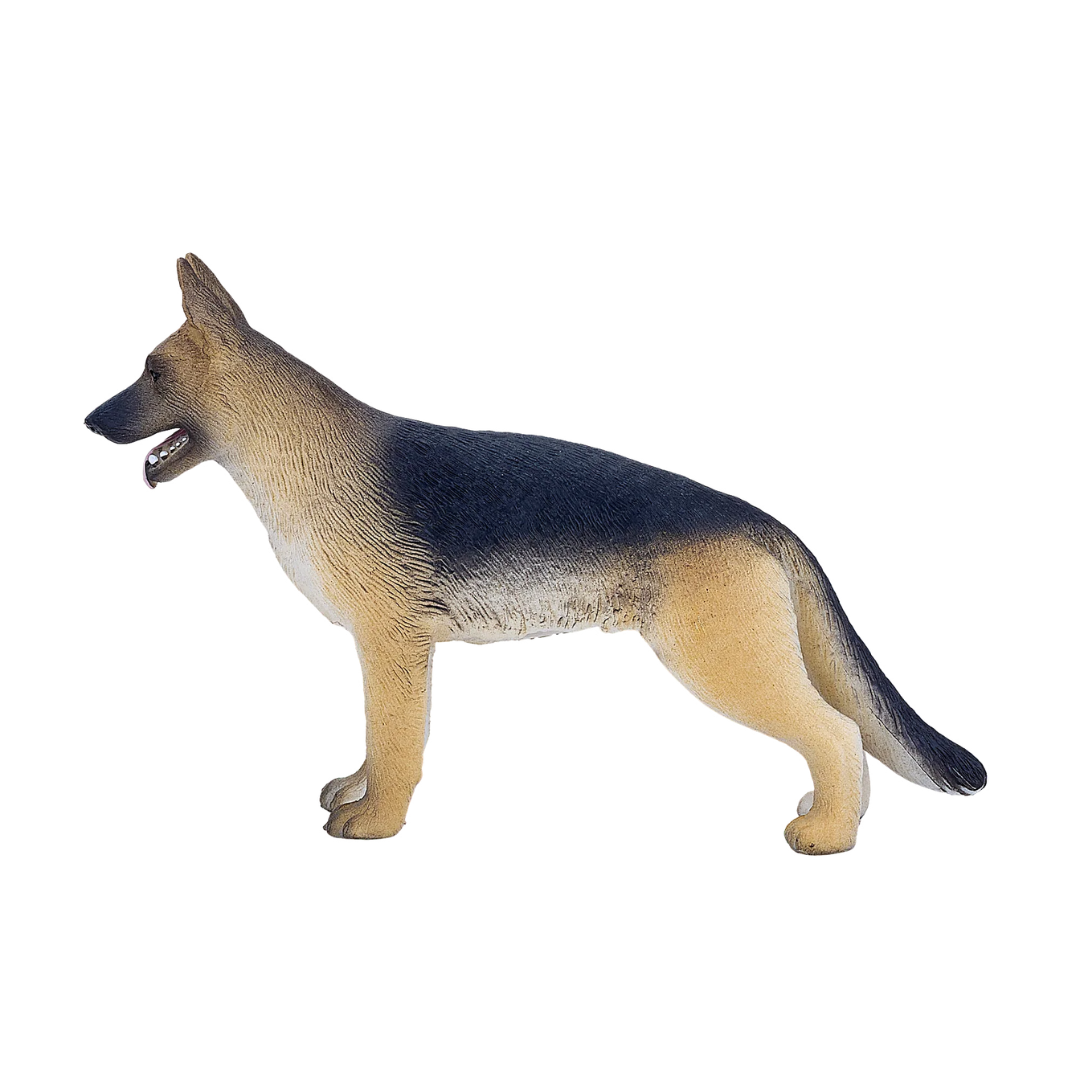 Mojo German Shepherd - M