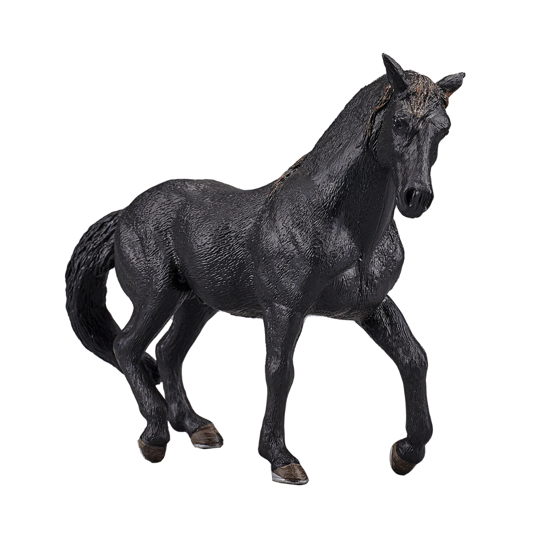 Mojo Andalusian Stallion Black - XL