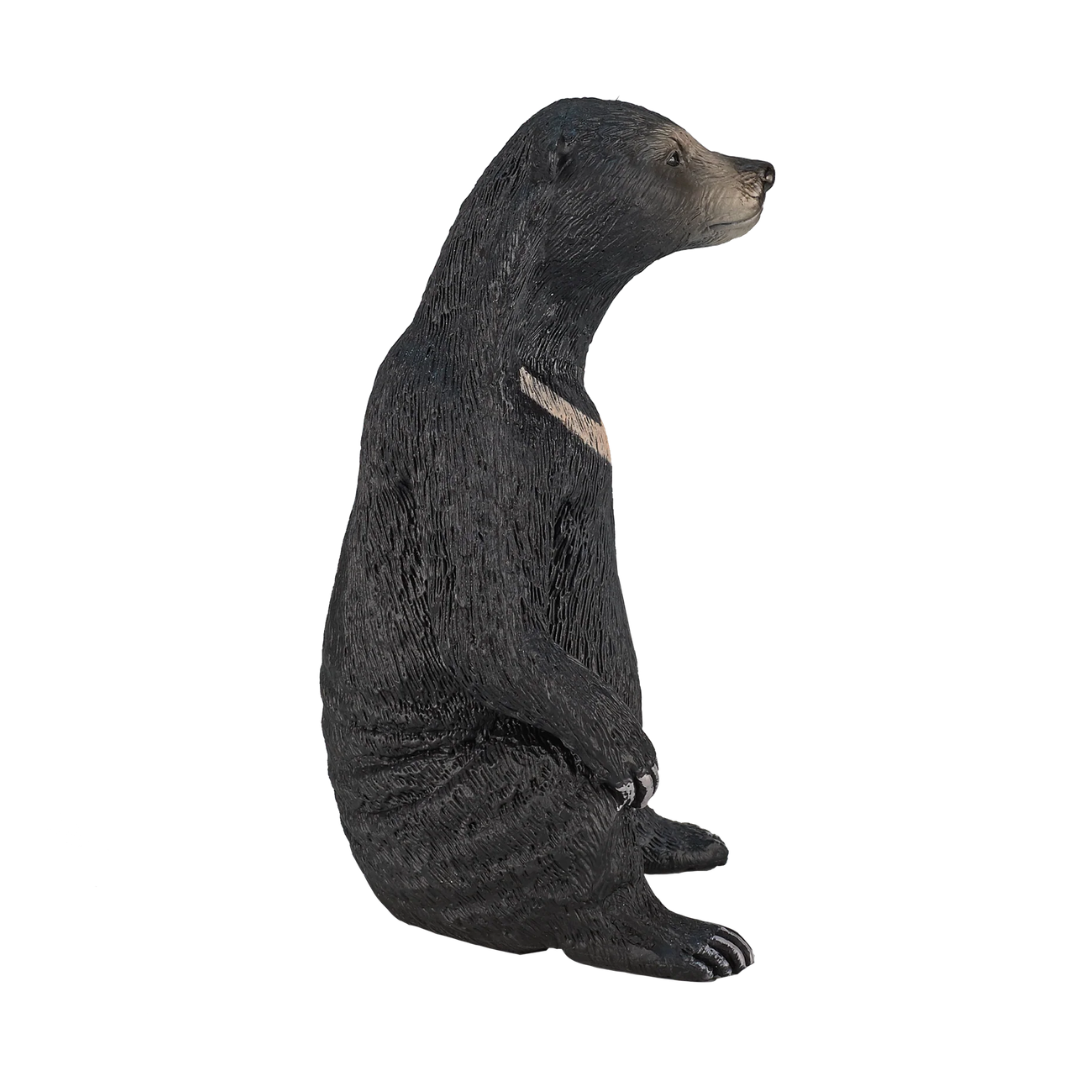 Mojo Sun Bear - L
