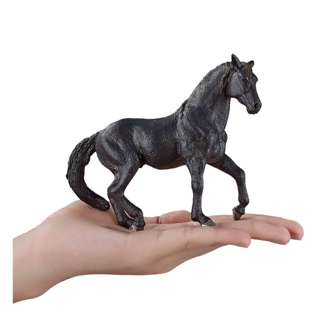 Mojo Andalusian Stallion Black - XL