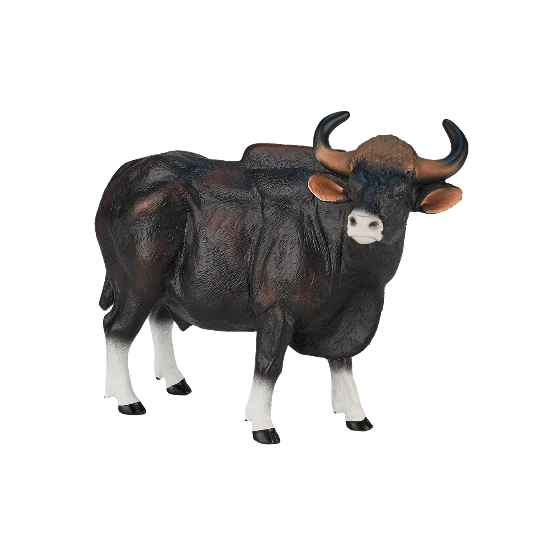 Gaur Bull -XXL
