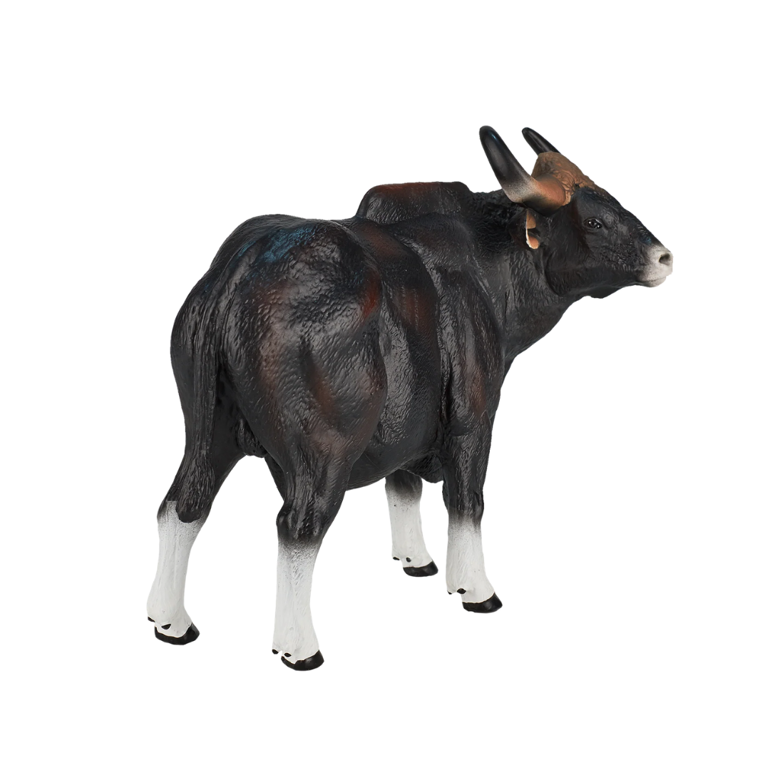 Gaur Bull -XXL