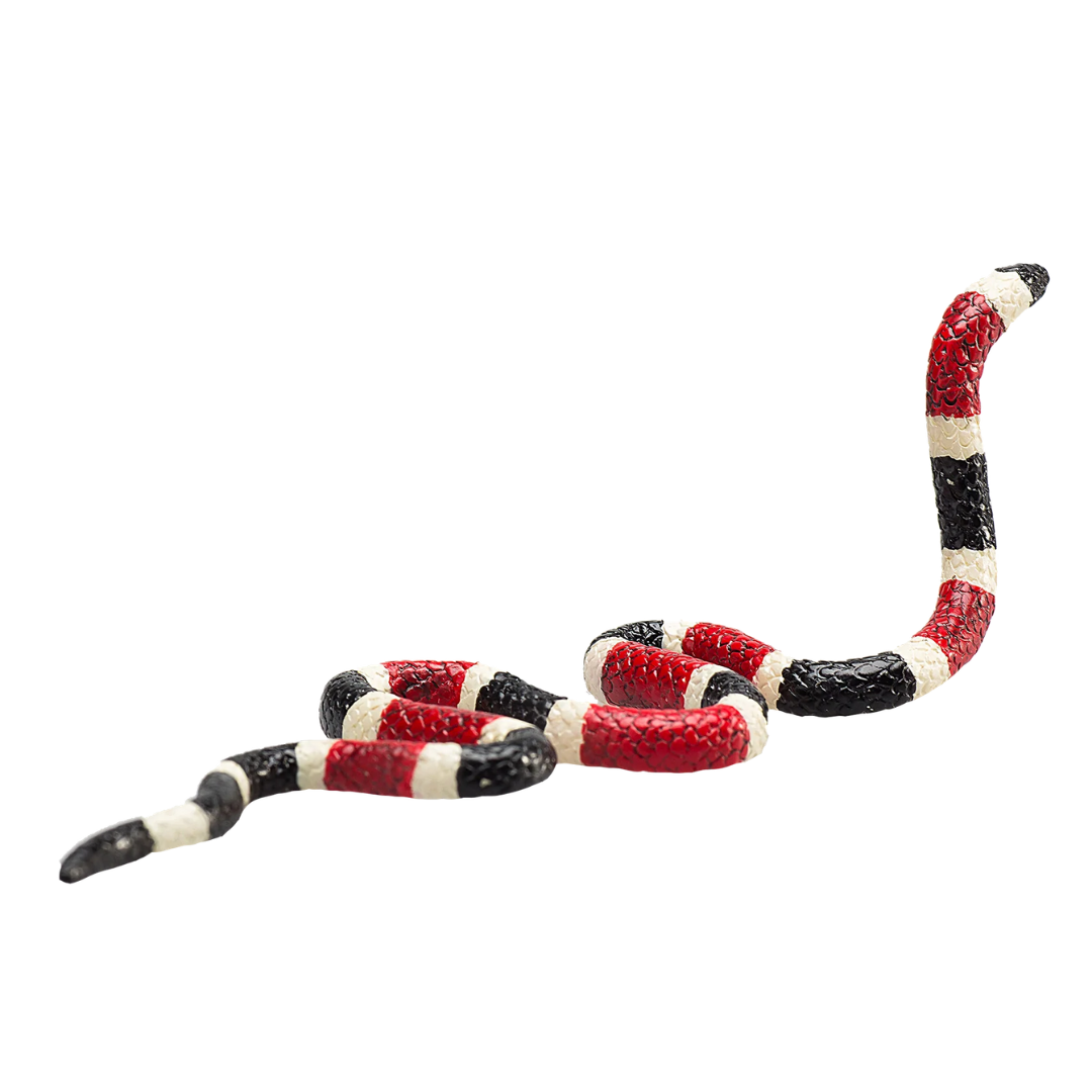Mojo Coral Snake - M
