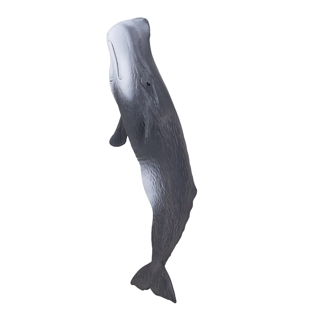 Mojo Sperm Whale  (Portugal) - DII