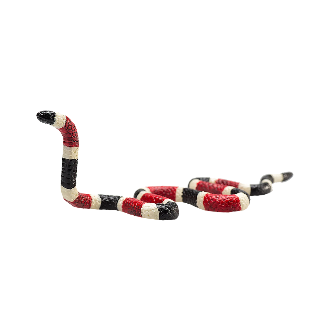 Mojo Coral Snake - M