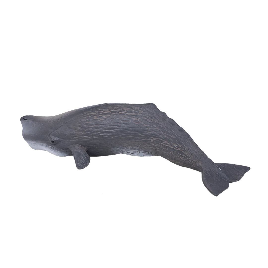 Mojo Sperm Whale  (Portugal) - DII