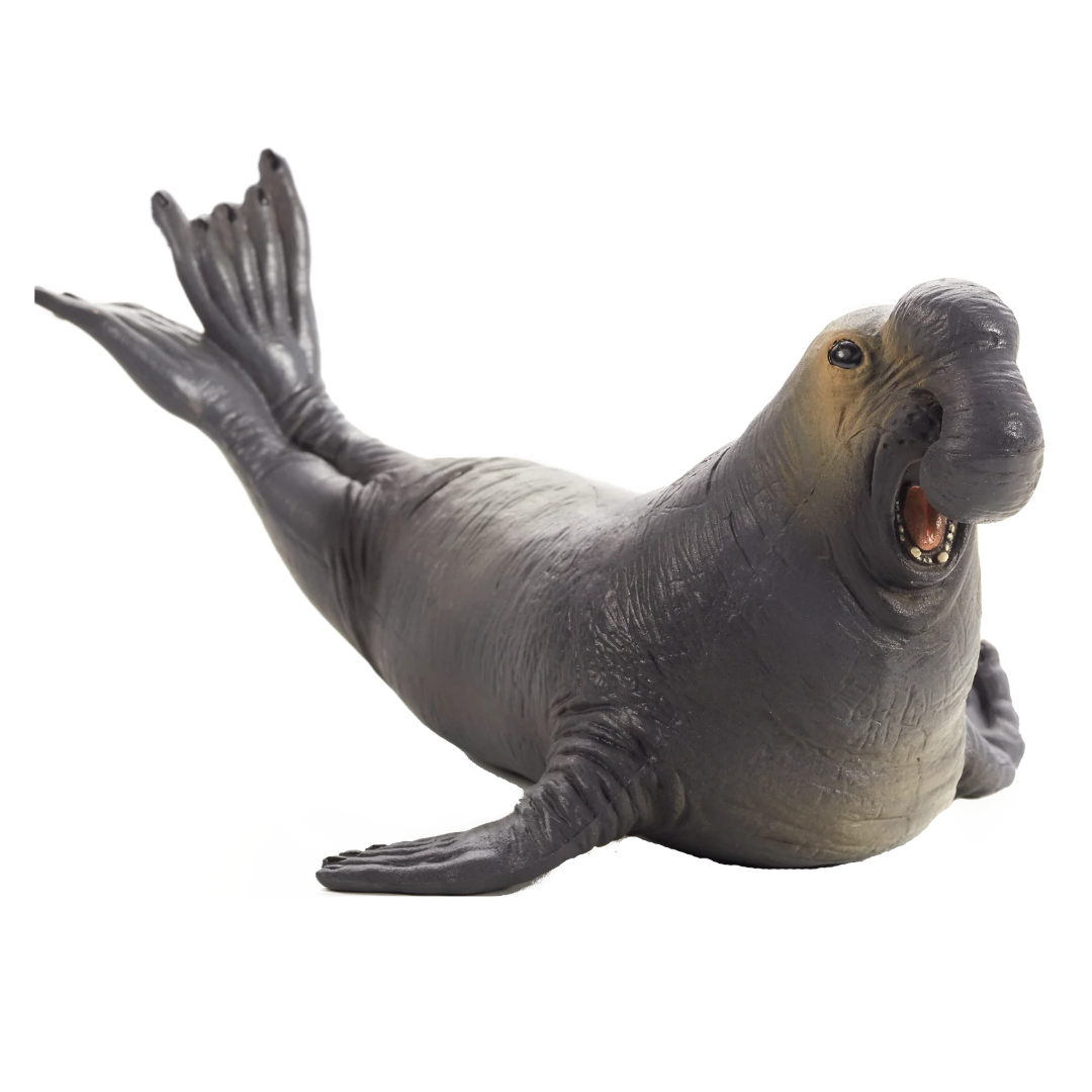 Mojo Sea Elephant  (Portugal)-DI