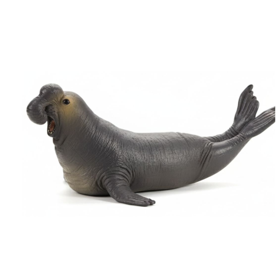 Mojo Sea Elephant  (Portugal)-DI