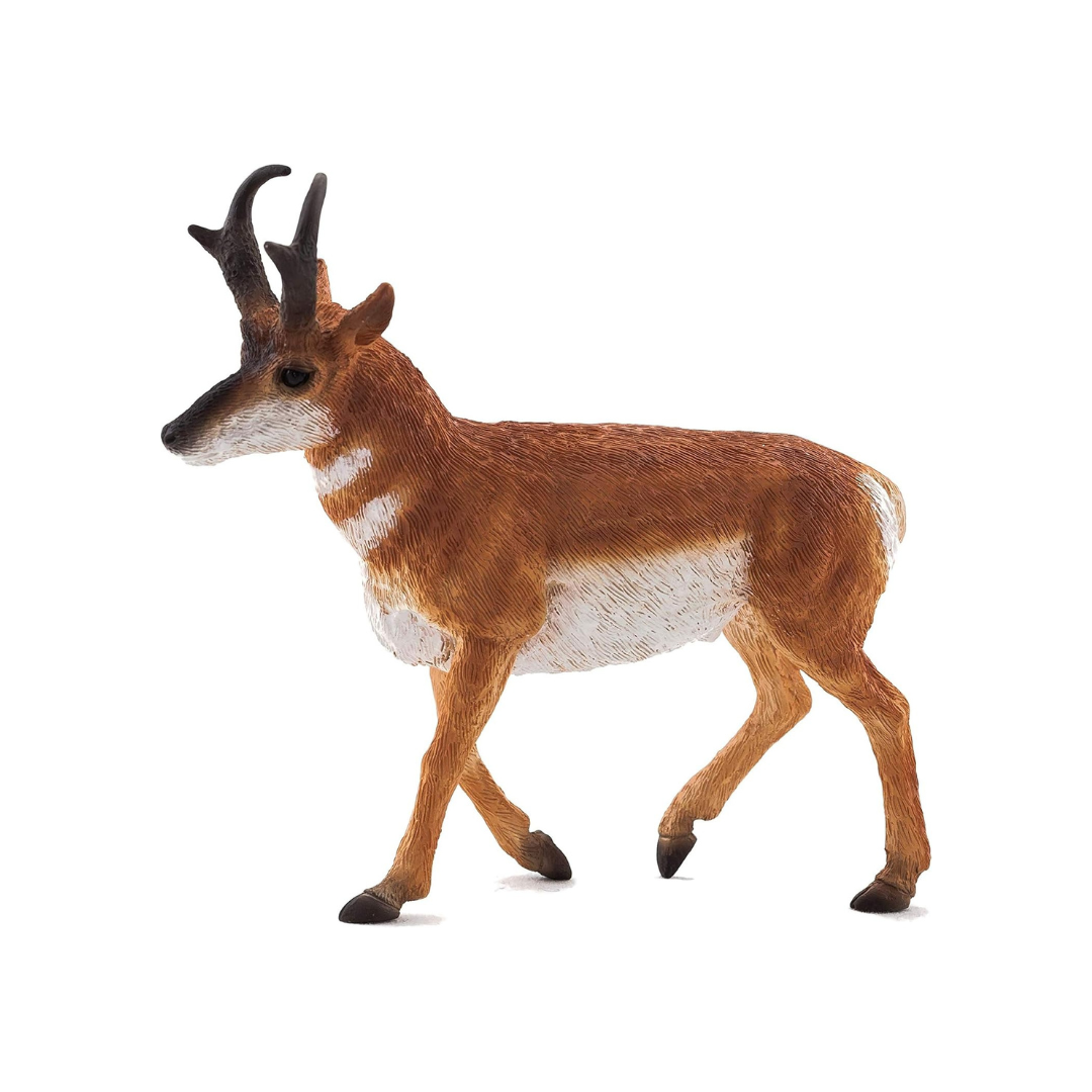 Mojo Pronghorn -M