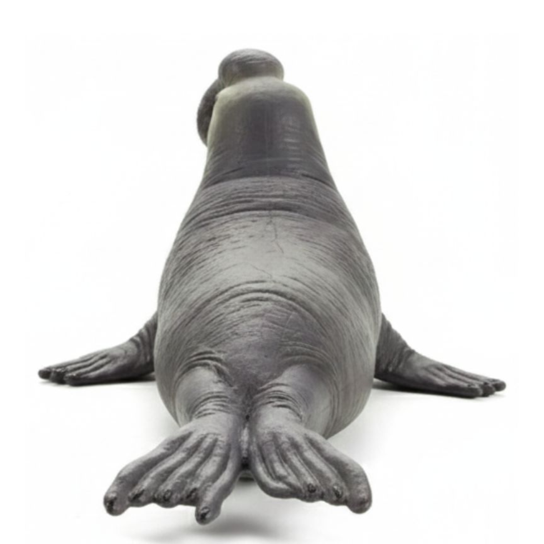 Mojo Sea Elephant  (Portugal)-DI