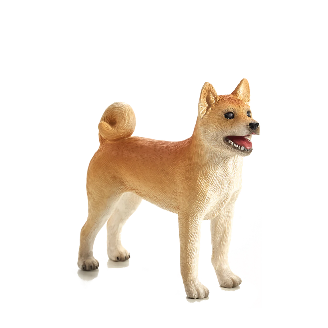 Mojo Shiba Inu - M