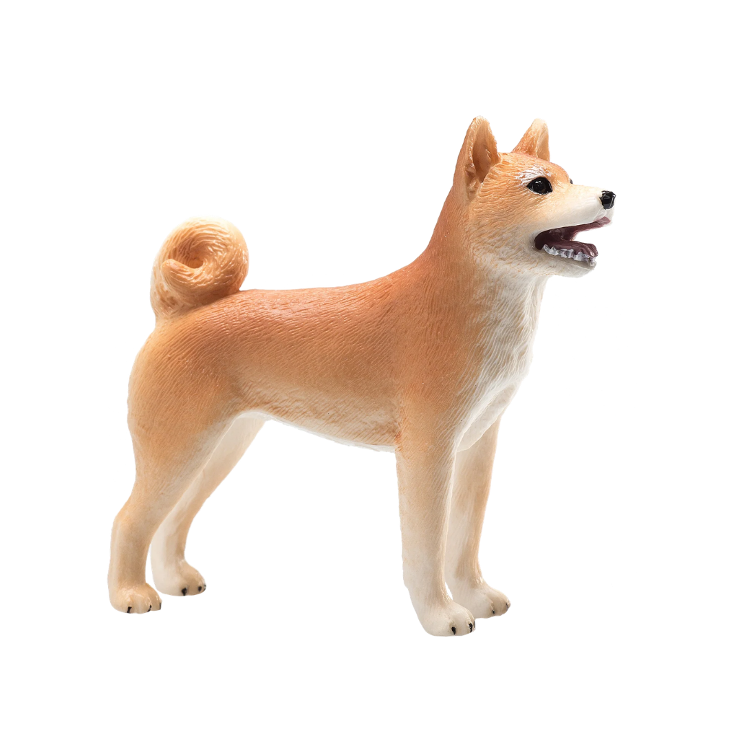 Mojo Shiba Inu - M