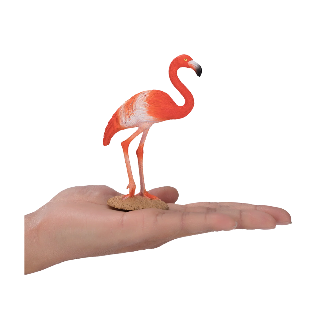 Mojo American Flamingo  - M