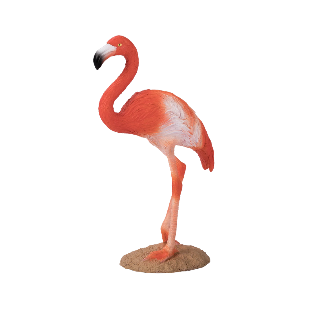 Mojo American Flamingo  - M
