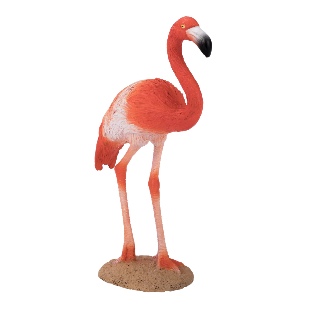 Mojo American Flamingo  - M