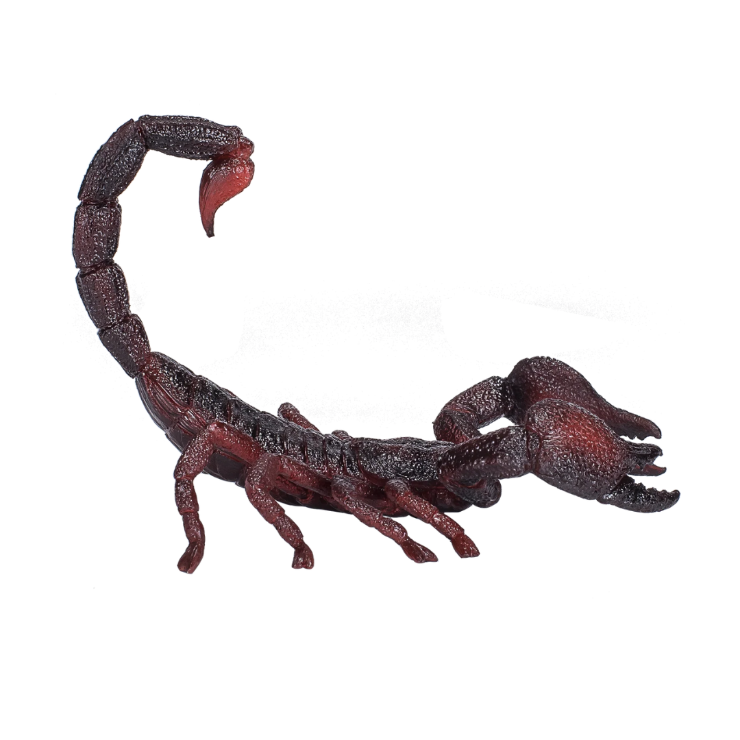Mojo Emperor Scorpion - L