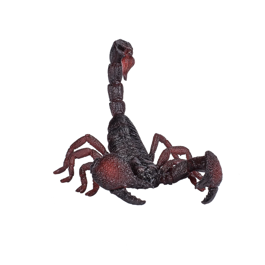 Mojo Emperor Scorpion - L