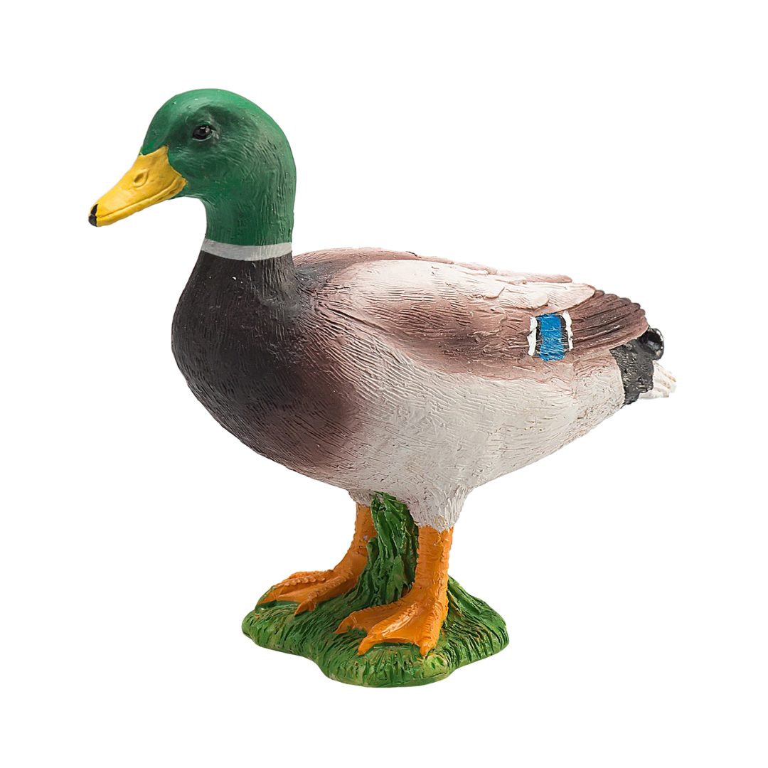 Mojo Mallard Duck
