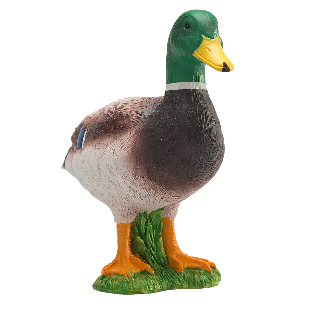 Mojo Mallard Duck