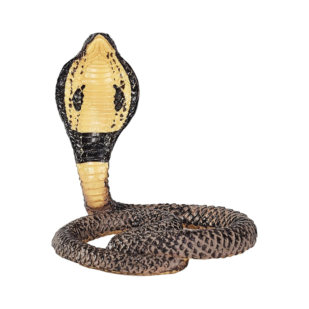 Mojo King Cobra  - M