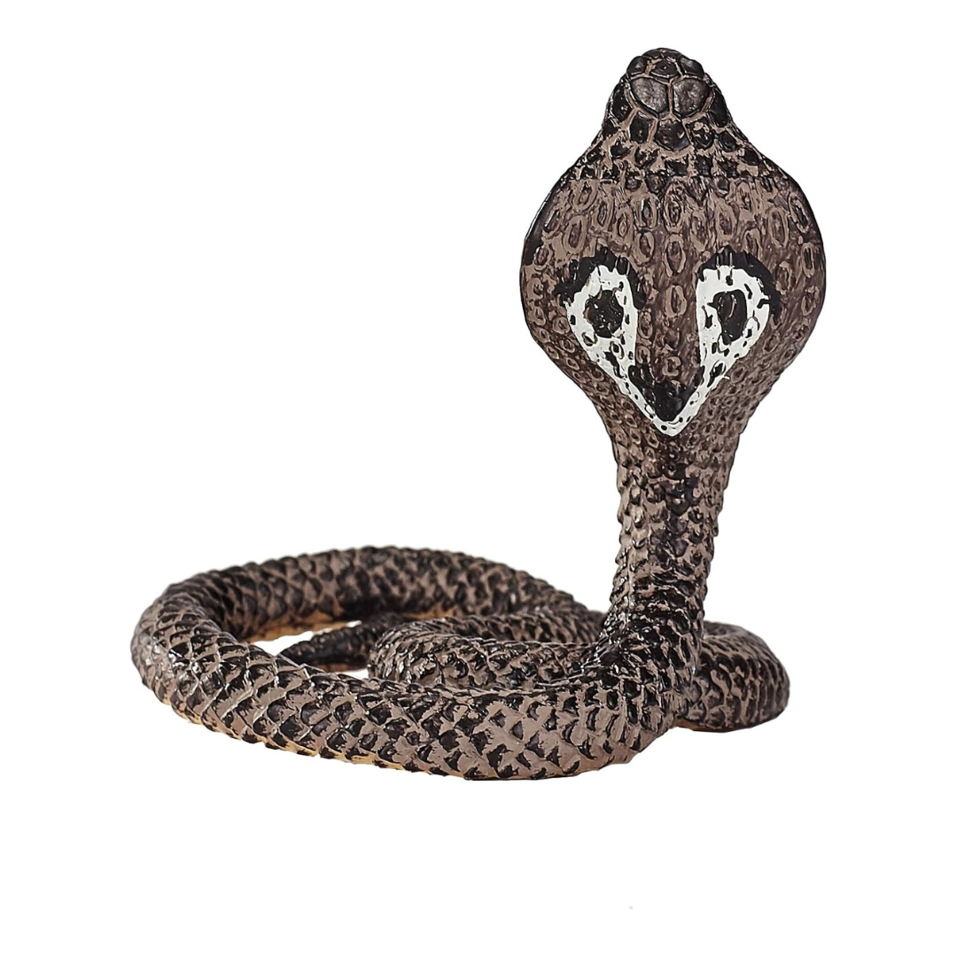 Mojo King Cobra  - M