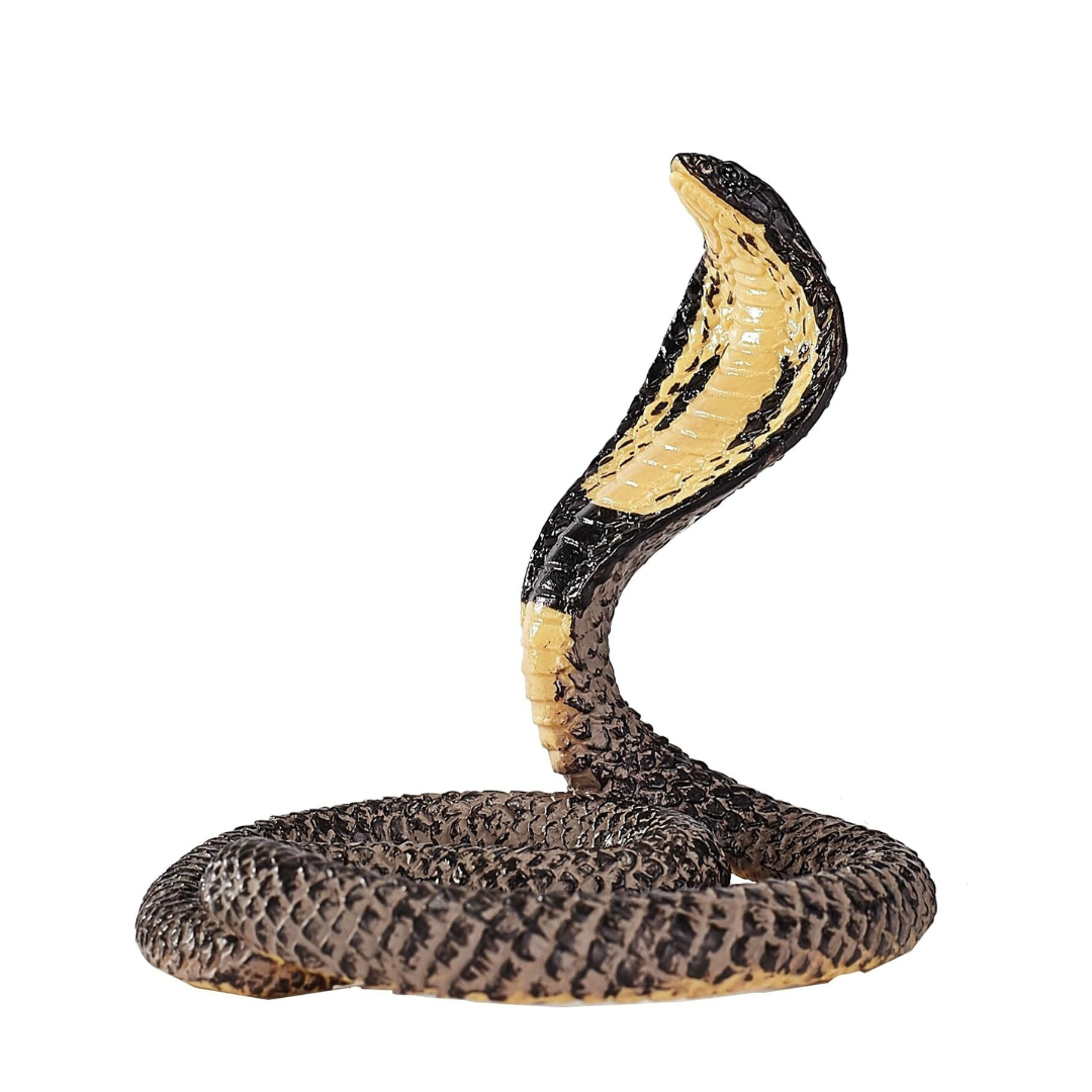 Mojo King Cobra  - M