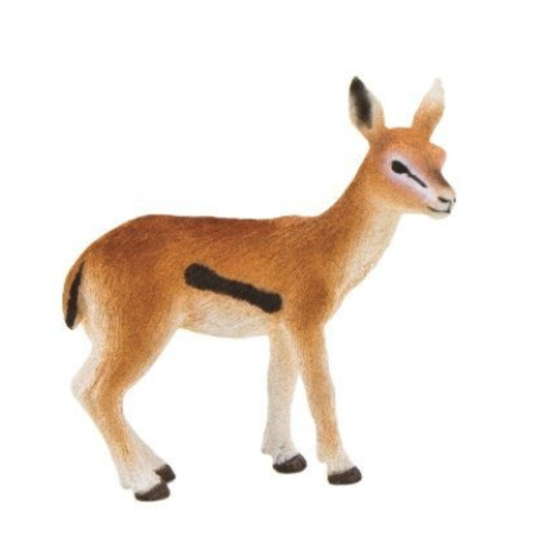 Mojo Thomson Gazelle Calf -S