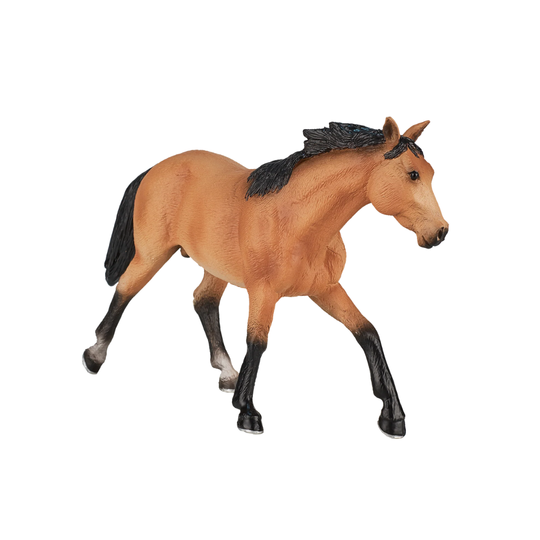 Mojo Quarter Horse Buckskin - XL