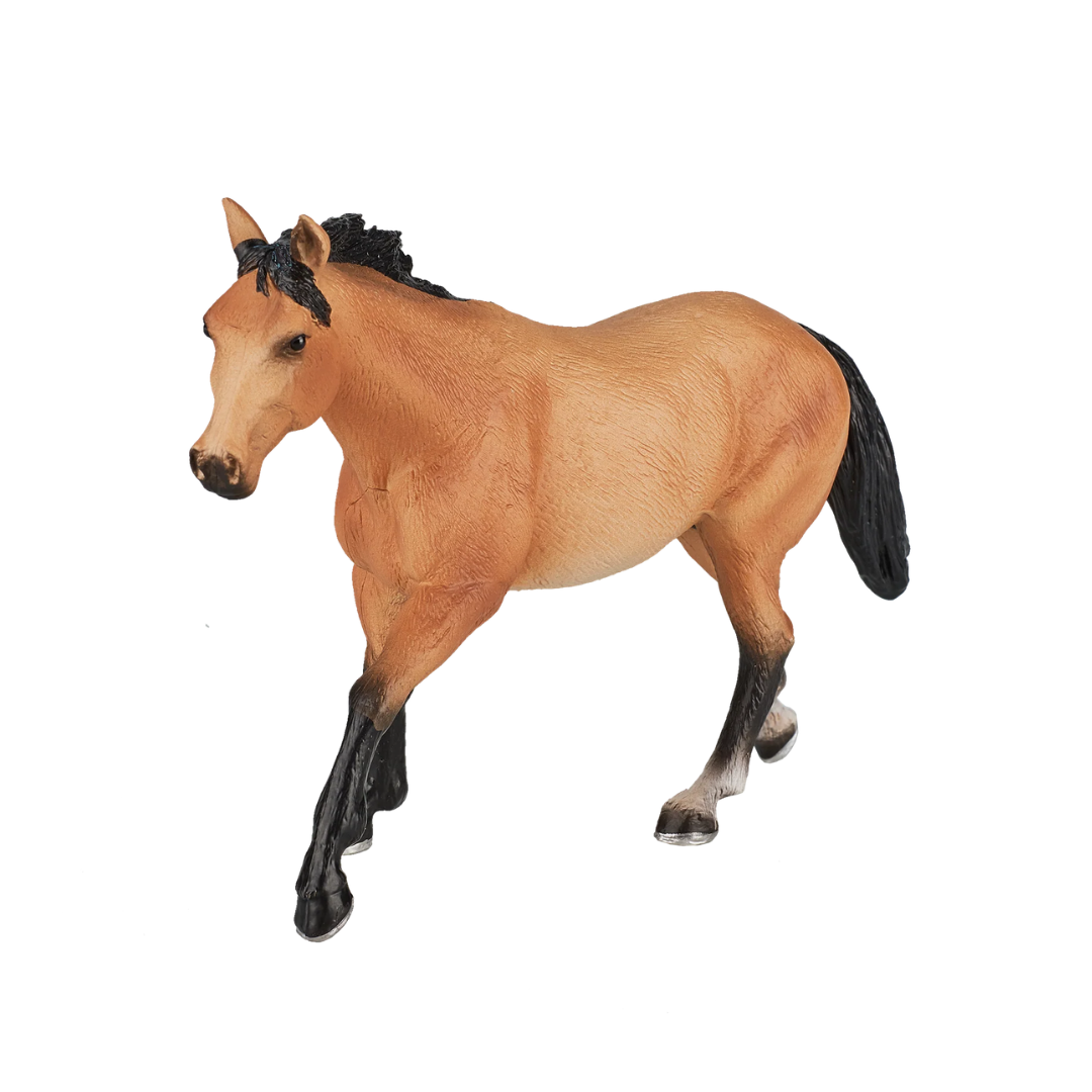 Mojo Quarter Horse Buckskin - XL
